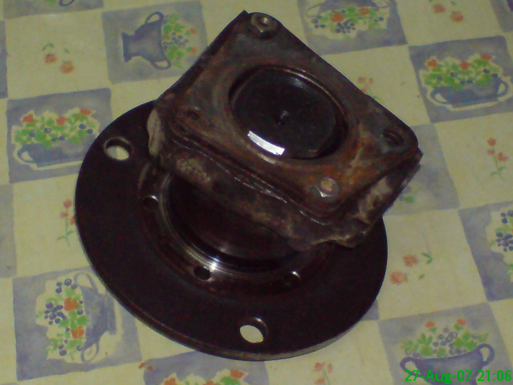 Butuc_portfuzeta_3